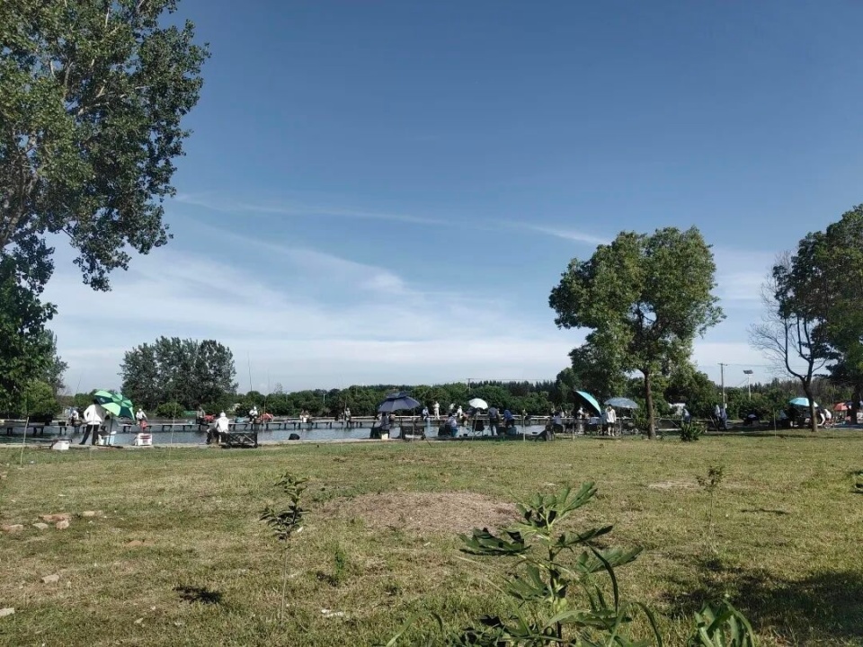 不断延伸的, 合新闻 不断延伸的, 合新闻