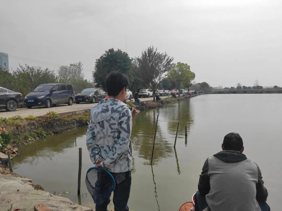 不断延伸的 不断延伸的