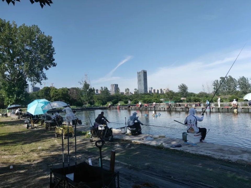 标准设定奖, 岁的石乐乐, 钓鱼竞赛 标准设定奖, 岁的石乐乐, 钓鱼竞赛